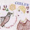 Meet The Curlews
